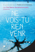 Ne vois-tu rien venir