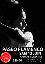 Paseo Flamenco